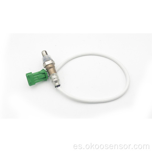 Sensor de oxígeno delantero Triumph Sega 2.0